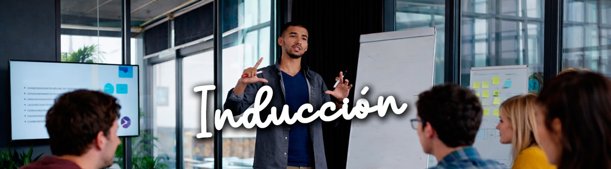 Inducción